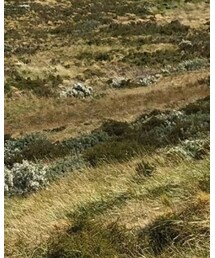 TAG Heuer | メガネ