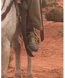 THE NORTH FACE | スニーカー