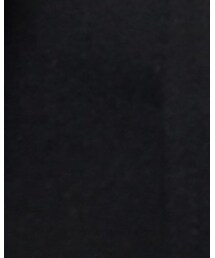 Pledge | ジャケット/アウター