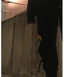 kaikai kiki | その他小物