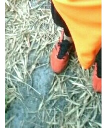 adidas | シューズ