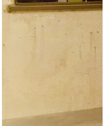 あかのれん | パンツ