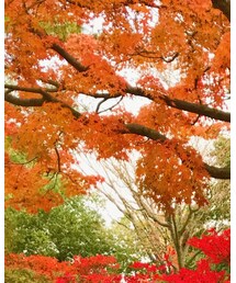 古着屋さん | ニット/セーター