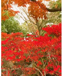 DOONEY＆BOURKE | ショルダーバッグ