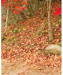 あしながおじさん | サンダル