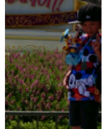 Disney | Tシャツ/カットソー