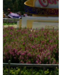 GLOBAL WORK | Tシャツ/カットソー