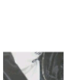 adidas | Tシャツ/カットソー