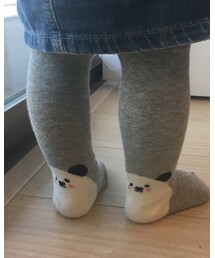 Birthday | タイツ/ストッキング