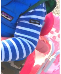 SAINT JAMES | Tシャツ/カットソー