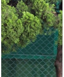 LACOSTE | ポロシャツ