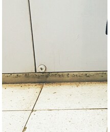 ASICS | スニーカー