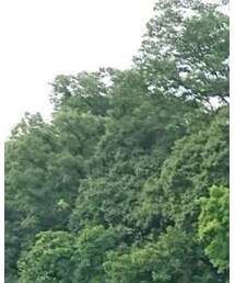 Gramicci | その他パンツ