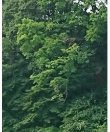 Columbia | バックパック/リュック