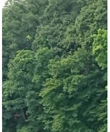 KEEN | その他シューズ