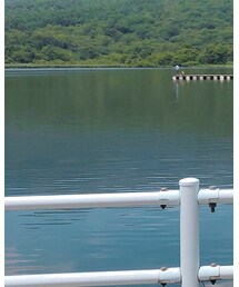 ZARA MAN | Tシャツ/カットソー