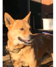 POLO RALPH LAUREN | ニットキャップ/ビーニー