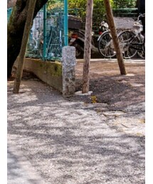 NIKE SB | スニーカー