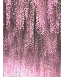 BEAMS | キャップ