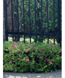 CHANEL | ハンドバッグ