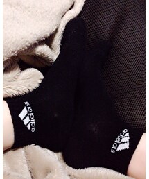 adidas | ソックス/靴下