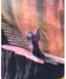 used | Tシャツ/カットソー