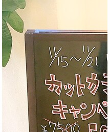 hair salon I'LUNA キャンペーン | その他