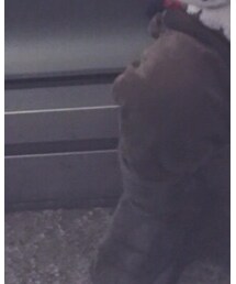 MARKEY'S | ブーツ