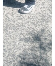 VANS | スニーカー