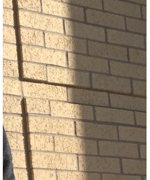 COMME des GARCONS | Tシャツ/カットソー