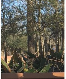 asos | Tシャツ/カットソー