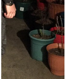 pacsun | その他パンツ