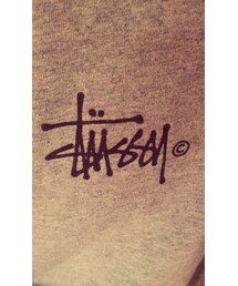 STUSSY | Tシャツ/カットソー