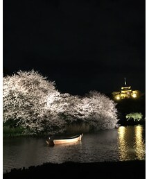 夜桜 | その他