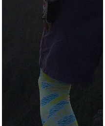 Columbia | レギンス/スパッツ