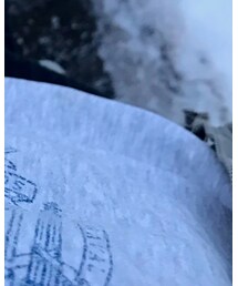 Champion | スウェット