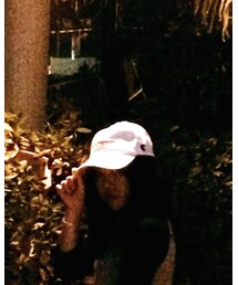 Champion | キャップ
