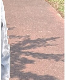 ANAP | Tシャツ/カットソー