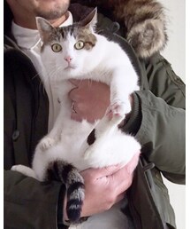 ポンちゃん | その他