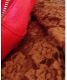 AMERICAN EAGLE OUTFITTERS | Tシャツ/カットソー