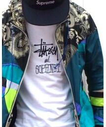 STUSSY | Tシャツ/カットソー