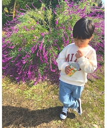 Birthday | スウェット