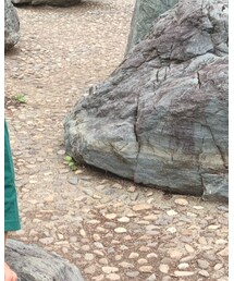 GLOBAL WORK | Tシャツ/カットソー