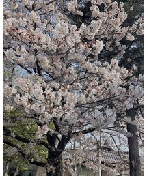 いつもfellow •❤️ありがとうございます🙏🏻 | その他トップス