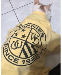 Dickies | Tシャツ/カットソー