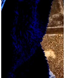 Ron Herman | トップス