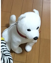 お父さん犬 | その他雑貨