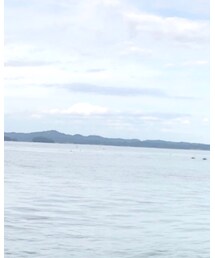 宮城県 松島湾 | その他