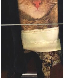 no brand | ニット/セーター