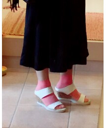 靴下屋 | ソックス/靴下